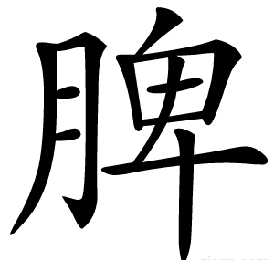 脾
